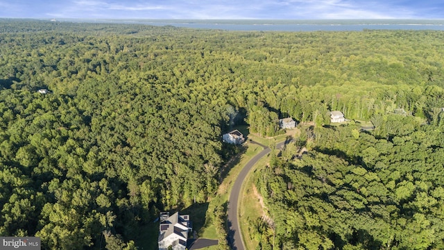 251 Rock Raymond Dr, Stafford, VA 22554 - aerial overview of property's location with a forest