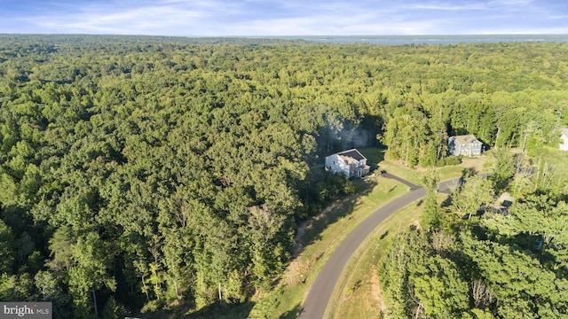 251 Rock Raymond Dr, Stafford, VA 22554 - aerial view of property's location with a forest