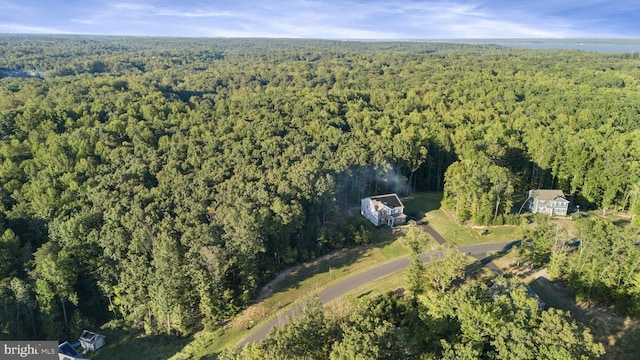 251 Rock Raymond Dr, Stafford, VA 22554 - view of property location with a forest