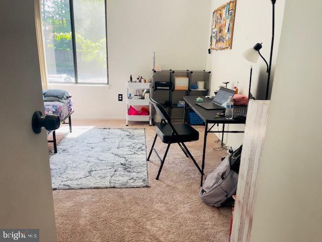 9707 Kings Crown Ct Unit 101, Fairfax, VA 22031 - view of carpeted home office