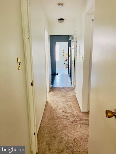 9707 Kings Crown Ct Unit 101, Fairfax, VA 22031 - hall featuring light carpet