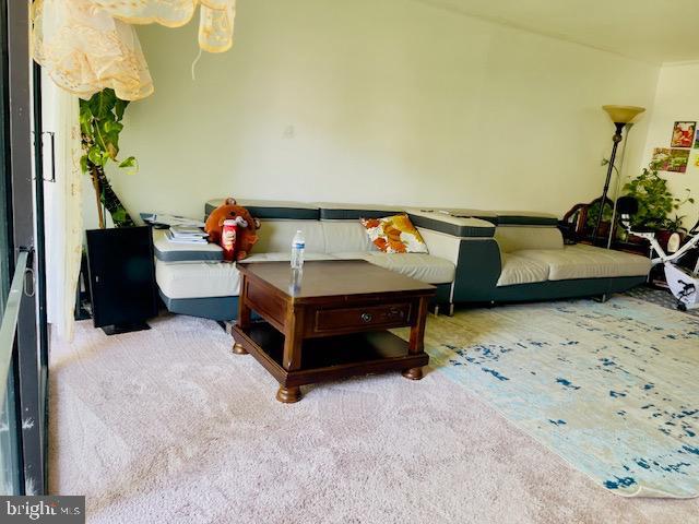 9707 Kings Crown Ct Unit 101, Fairfax, VA 22031 - view of living room