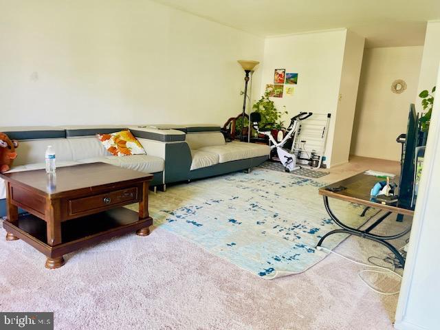 9707 Kings Crown Ct Unit 101, Fairfax, VA 22031 - view of carpeted living area