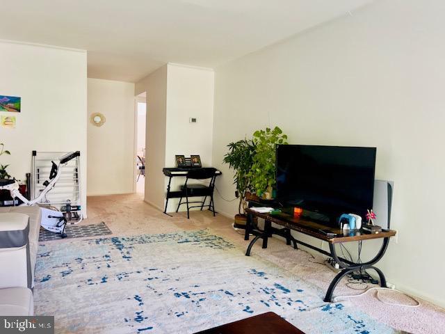 9707 Kings Crown Ct Unit 101, Fairfax, VA 22031 - view of carpeted living room