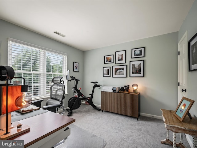 21526 Golden Autumn Pl, Broadlands, VA 20148 - carpeted office space with baseboards