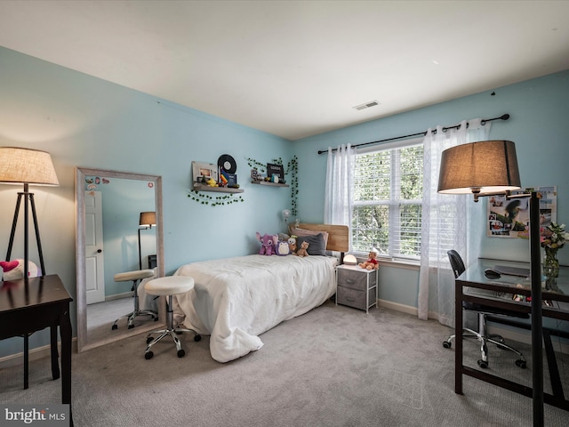 21526 Golden Autumn Pl, Broadlands, VA 20148 - carpeted bedroom with a desk and baseboards