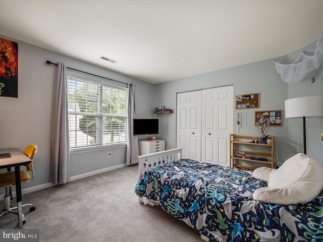 21526 Golden Autumn Pl, Broadlands, VA 20148 - carpeted bedroom featuring baseboards and a closet