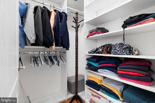 101 Colonial Downs Ct Unit 1305, Newark, DE 19702 - walk in closet with wood finished floors
