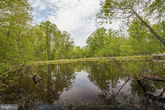 3414 Tyburn Tree Ct, Herndon, VA 20171 - water view