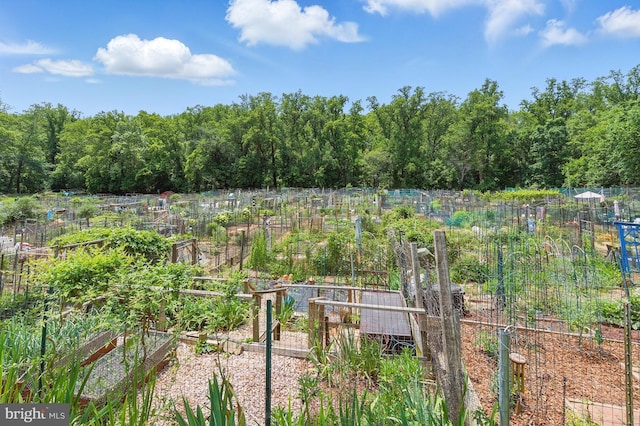 4000 Tunlaw Rd NW Unit 714, Washington, DC 20007 - view of yard with a vegetable garden and a forest view