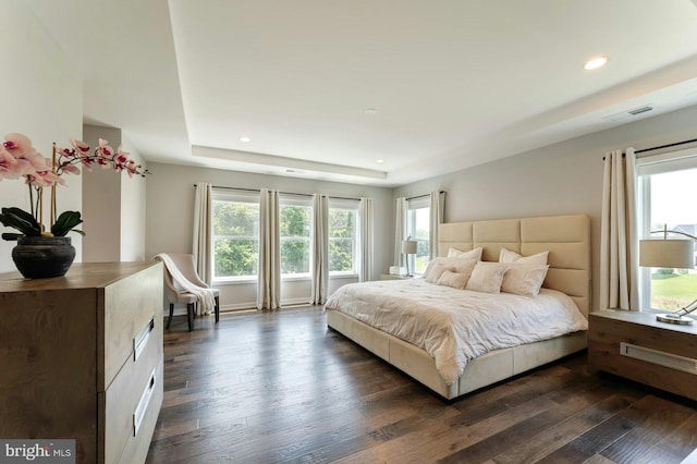 24824 Scarlet Maple Ct, Aldie, VA 20105 - bedroom with dark wood finished floors, recessed lighting, and a raised ceiling