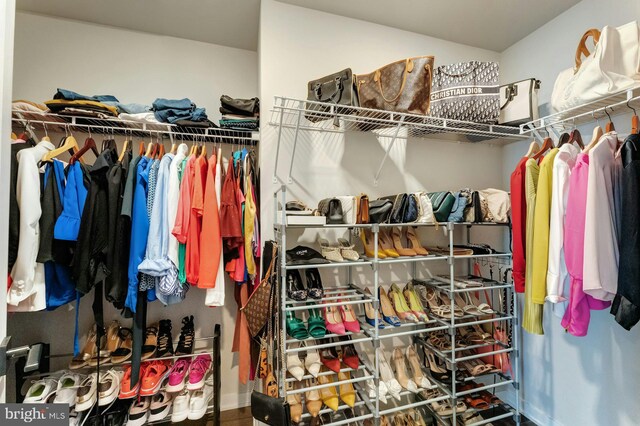 24824 Scarlet Maple Ct, Aldie, VA 20105 - view of walk in closet