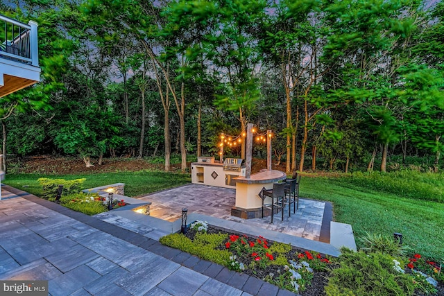 24824 Scarlet Maple Ct, Aldie, VA 20105 - view of patio with exterior kitchen