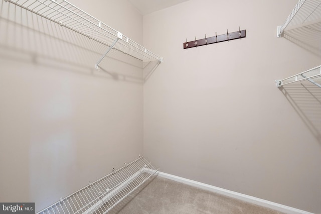 12330 Fox Lake Ct, Fairfax, VA 22033 - spacious closet with carpet