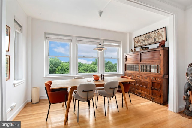 3601 Connecticut Ave NW Unit 816, Washington, DC 20008 - dining space with plenty of natural light and light wood-style flooring