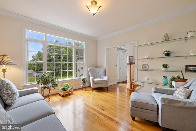 1399 N Royal Ave, Front Royal, VA 22630 - living room with light wood-type flooring, ornamental molding, and baseboards