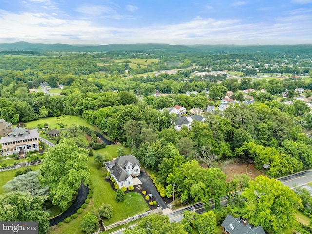 1399 N Royal Ave, Front Royal, VA 22630 - bird's eye view