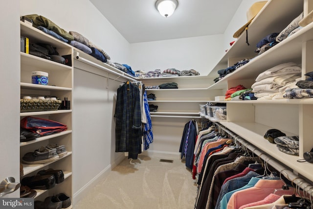 1399 N Royal Ave, Front Royal, VA 22630 - spacious closet with carpet flooring