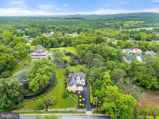 1399 N Royal Ave, Front Royal, VA 22630 - aerial view