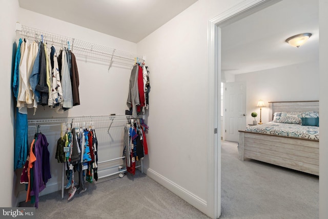 1399 N Royal Ave, Front Royal, VA 22630 - walk in closet with carpet