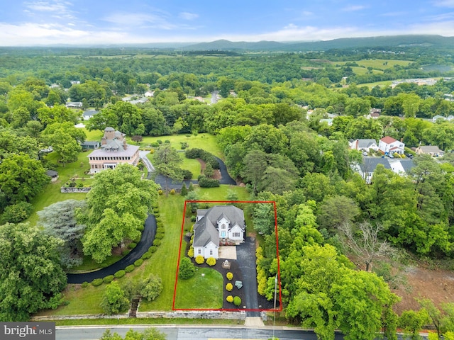 1399 N Royal Ave, Front Royal, VA 22630 - aerial overview of property's location with property boundaries highlighted and a forest