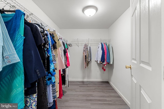 1399 N Royal Ave, Front Royal, VA 22630 - spacious closet with wood finished floors