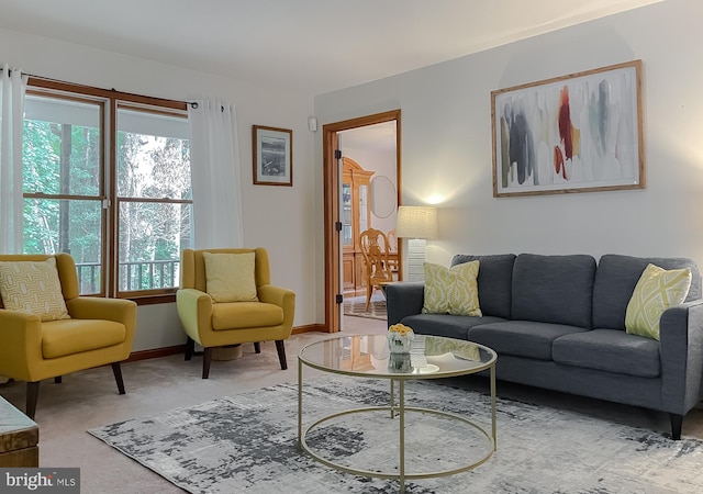 41920 Clover Hill Ct, Hollywood, MD 20636 - living area with carpet floors and baseboards