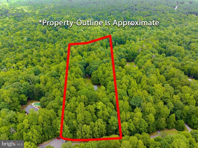 41920 Clover Hill Ct, Hollywood, MD 20636 - aerial overview of property's location with a forest and property boundaries highlighted