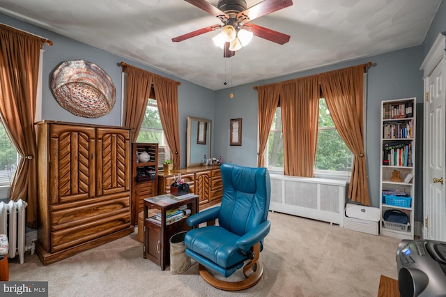 4800 Illinois Ave NW, Washington, DC 20011 - office area with radiator, carpet floors, ceiling fan, and radiator heating unit