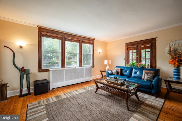 4800 Illinois Ave NW, Washington, DC 20011 - living room with radiator heating unit, ornamental molding, wood finished floors, and baseboards