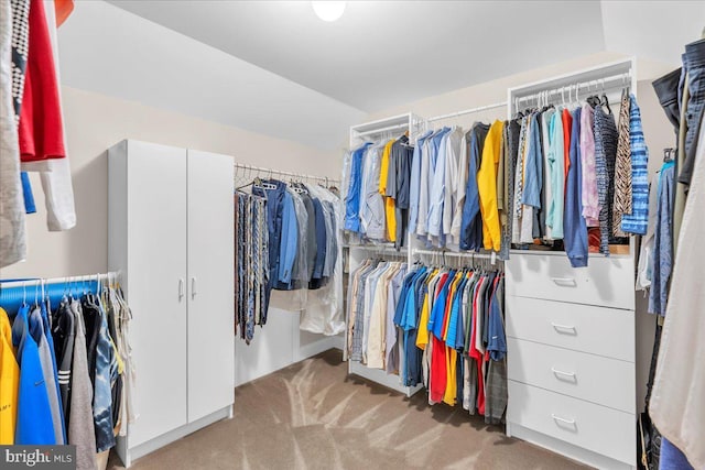 3026 5th St S, Voorhees, NJ 08043 - spacious closet with carpet
