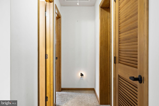 660 Bissetts Ln, Bloomsburg, PA 17815 - hallway with carpet and baseboards