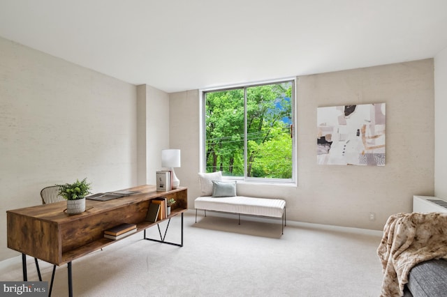 4100 Cathedral Ave NW Unit 709, Washington, DC 20016 - office space with carpet and baseboards