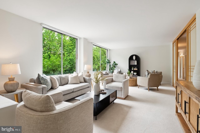 4100 Cathedral Ave NW Unit 709, Washington, DC 20016 - living room featuring light carpet