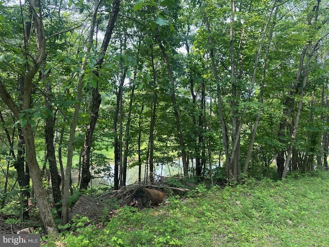 848 Bunker Hill Rd, Honey Grove, PA 17035
