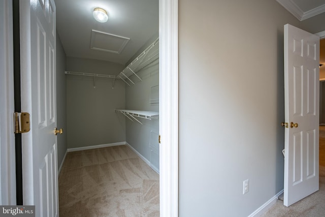 47561 Hidden Cove Ct, Sterling, VA 20165 - spacious closet with carpet floors and attic access