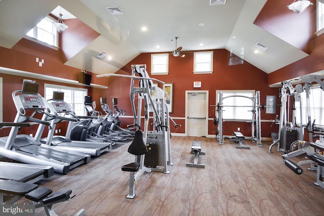 1136 Cove Rd Unit 202, Annapolis, MD 21403 - gym with a ceiling fan, high vaulted ceiling, plenty of natural light, and baseboards