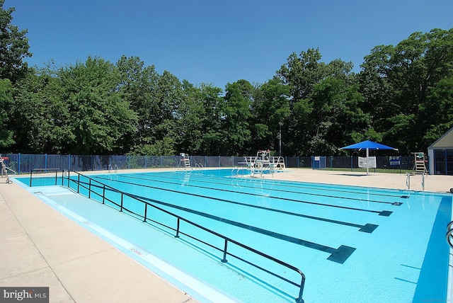 1136 Cove Rd Unit 202, Annapolis, MD 21403 - view of community pool