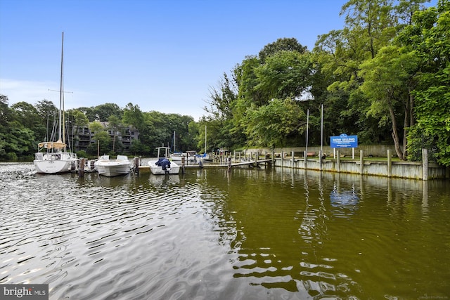 1136 Cove Rd Unit 202, Annapolis, MD 21403 - dock area featuring a water view and view of wooded area