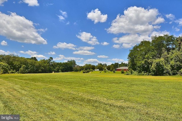 1136 Cove Rd Unit 202, Annapolis, MD 21403 - view of grassy yard