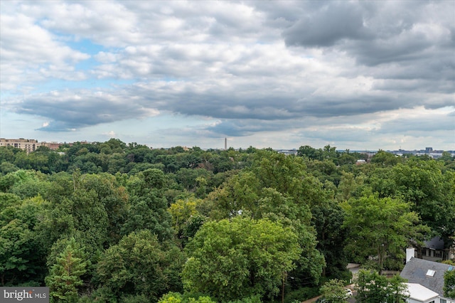 2700 Calvert St NW Unit 812/818, Washington, DC 20008 - bird's eye view of a forest