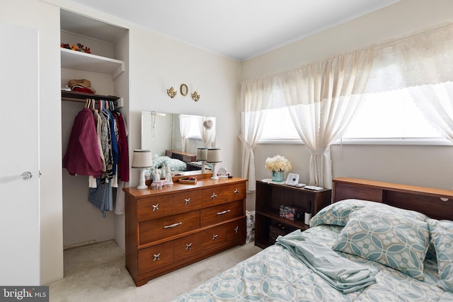 25 Kollman Dr, Newark, DE 19713 - bedroom with a spacious closet, multiple windows, a closet, and light carpet
