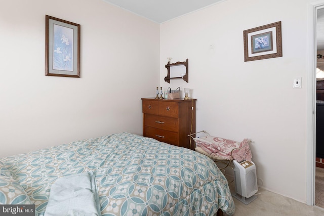 25 Kollman Dr, Newark, DE 19713 - view of carpeted bedroom