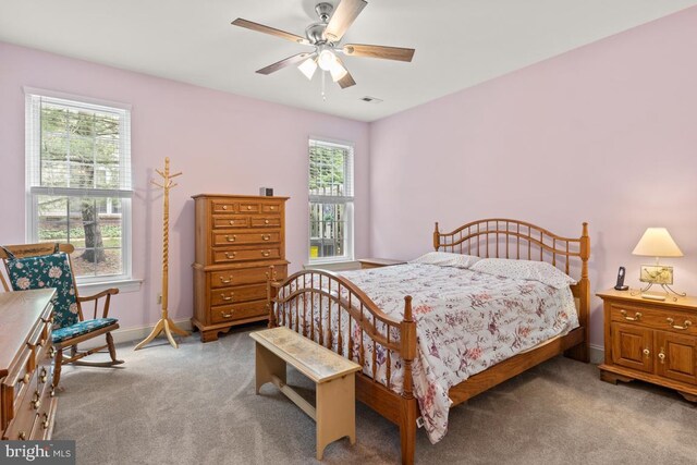 142 Wyndham Woods Way, Hatfield, PA 19440 - bedroom with carpet, multiple windows, and baseboards