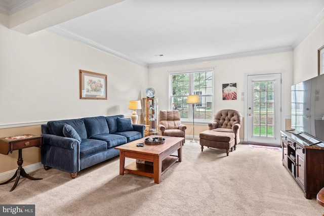 142 Wyndham Woods Way, Hatfield, PA 19440 - living room featuring light colored carpet, crown molding, and baseboards