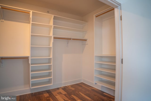 740 S Chris Columbus Blvd Unit 15, Philadelphia, PA 19147 - spacious closet with dark wood finished floors