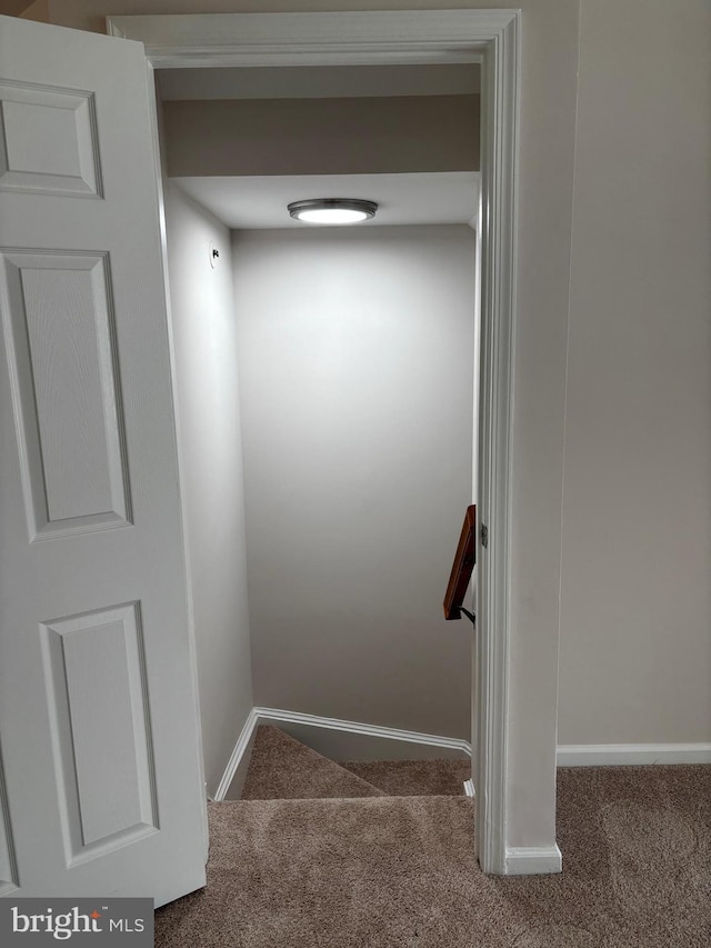 7930 Blue Gray Cir, Manassas, VA 20109 - stairway with carpet floors and baseboards