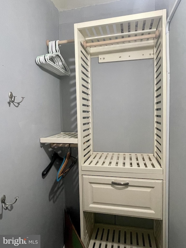 3401 Commonwealth Ave Unit A, Alexandria, VA 22305 - view of spacious closet