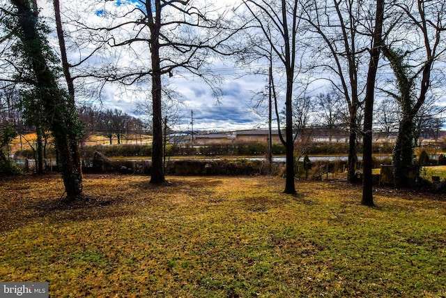 10903 Exeter Ct, Upper Marlboro, MD 20774 - view of yard