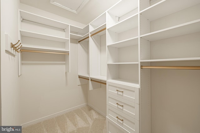 4005 Sweet Azalea Row, Glen Allen, VA 23059 - walk in closet with light colored carpet